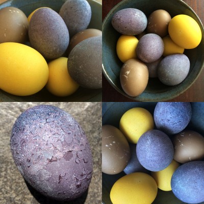 Purple, yellow and brown naturally dyed Easter eggs