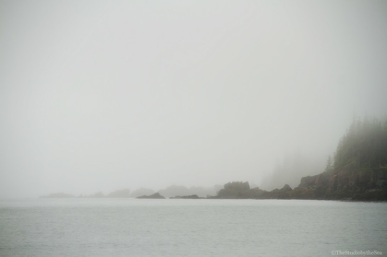 Jasper-Beach-fog