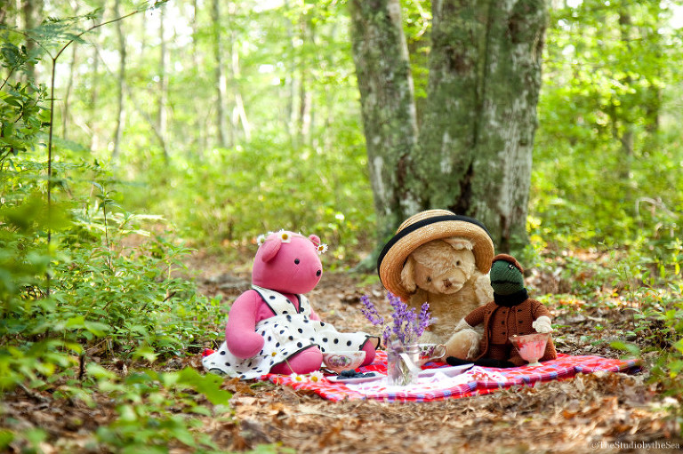 Teddy Bears and friend having a picnic