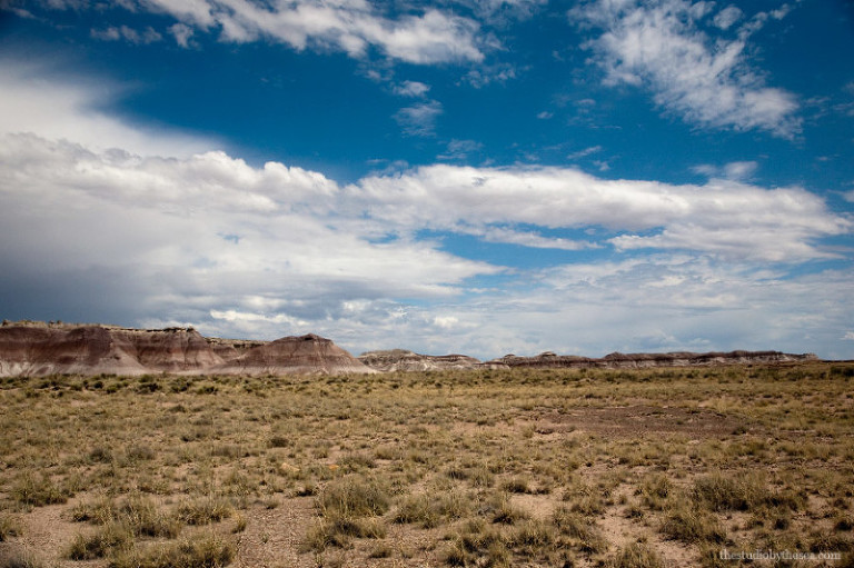 Overview of the Painted Desert from the Petrified Forest