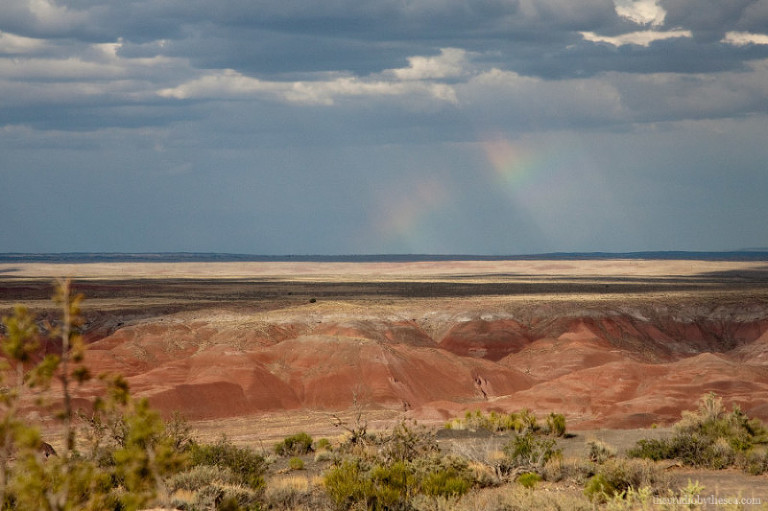 rainbow filled sky at the Petrified Forest