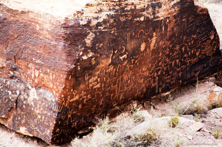 Petroglyph covered rock at the Petrified Forest
