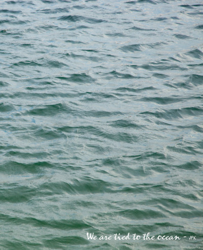 a close up of the sea