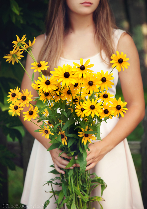 Black Eyed Susans