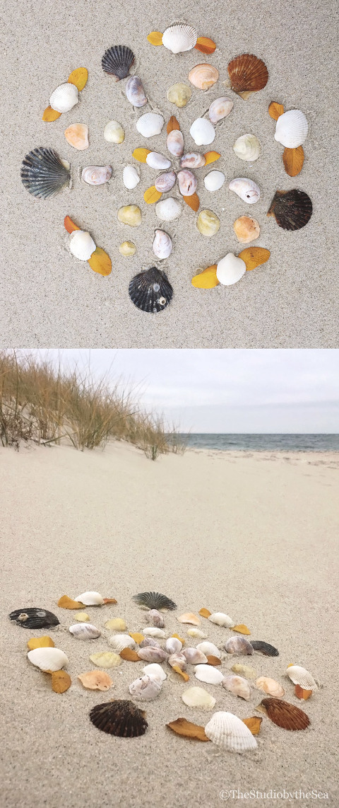 seashell mandala