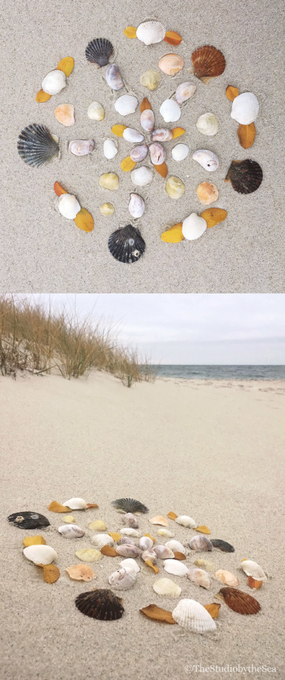 seashell mandala