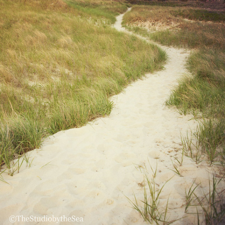 path-i