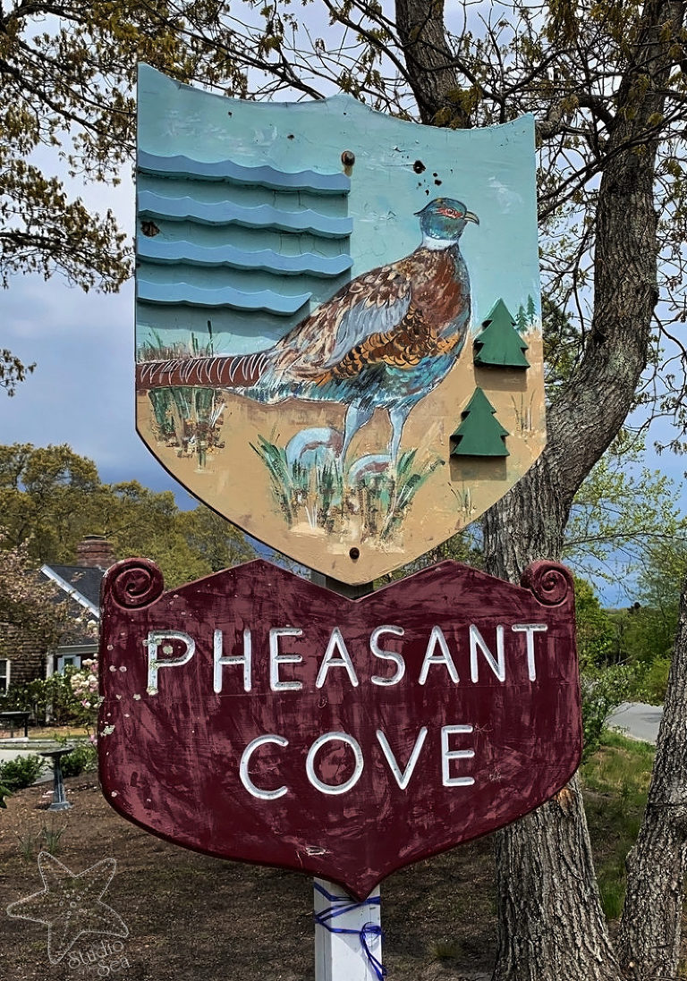Wooden sign of pheasant for Pheasant Circle