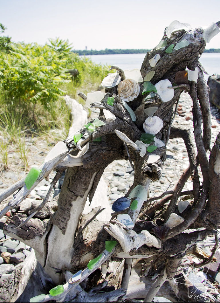 driftwood tree covered in shells and seaglass