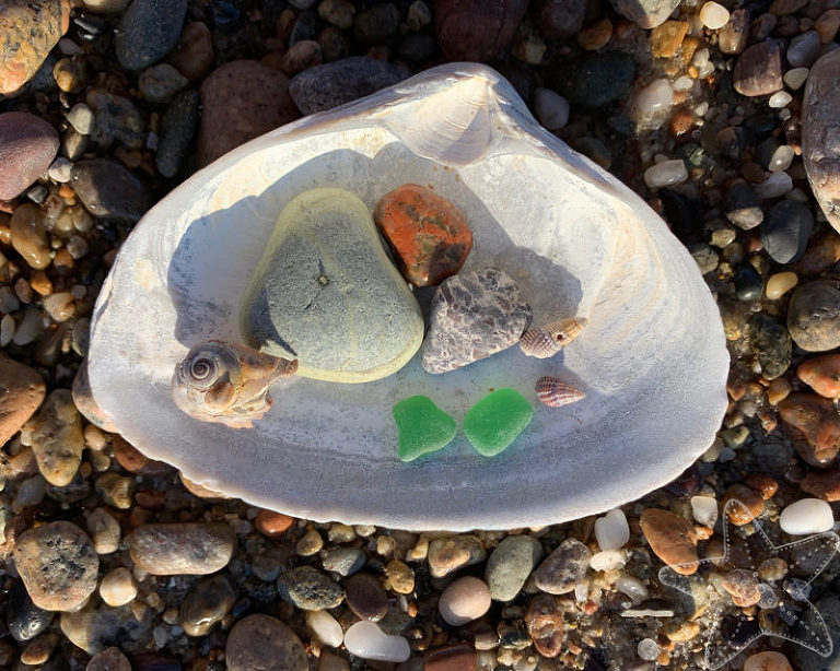 Large Sea Clam shell filled with rocks and shells