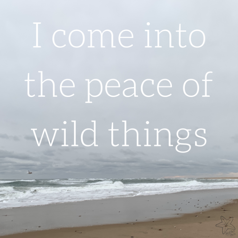 The words "I come into the peace of wild things' over an image of a wintry sea